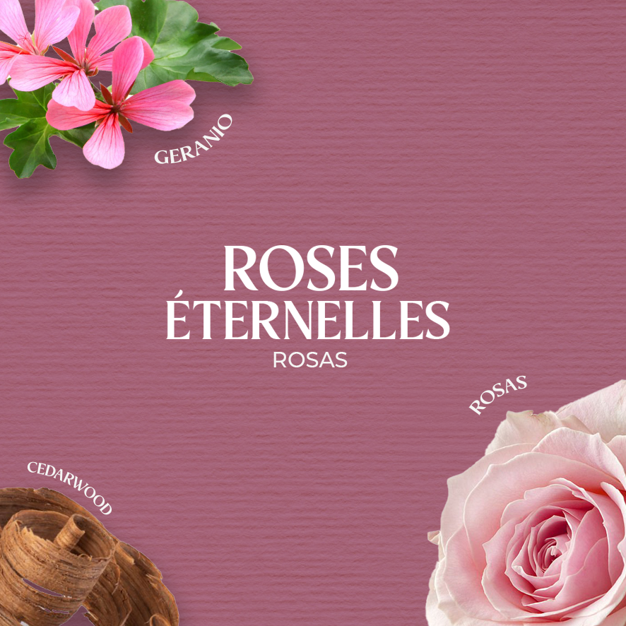 Reed Diffuser Rosas 50 ml