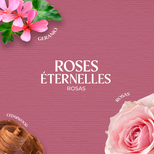 Home Perfume Rosas 250 ml