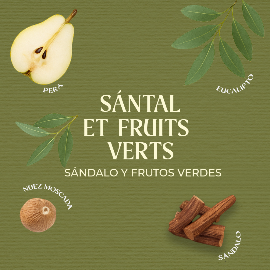 Reed Diffuser Sándalo y frutos verdes 50 ml