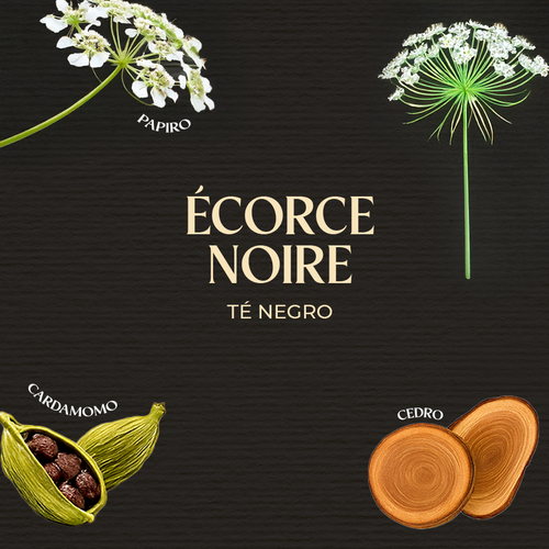 Home Perfume Té Negro 250 ml