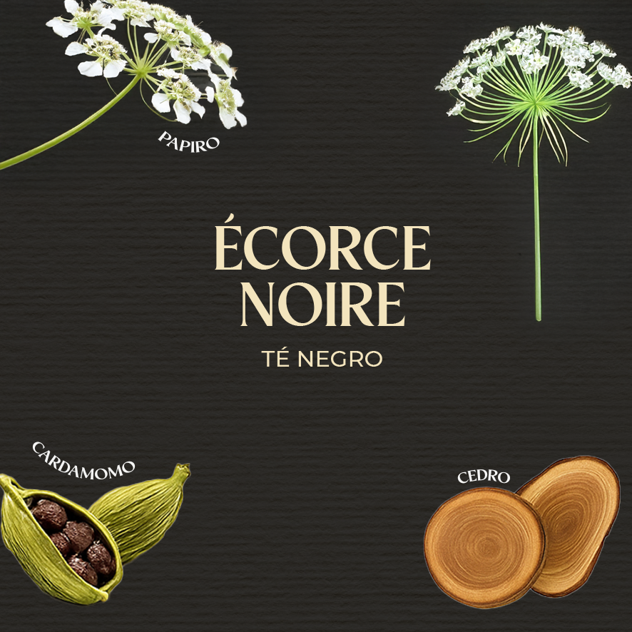 Reed Diffuser Té negro 100 ml